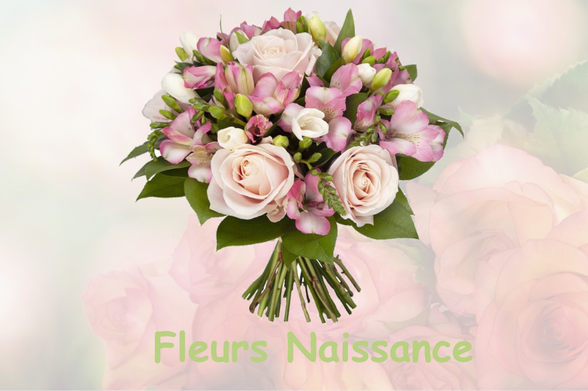 fleurs naissance SAINT-ANDRE-LE-BOUCHOUX