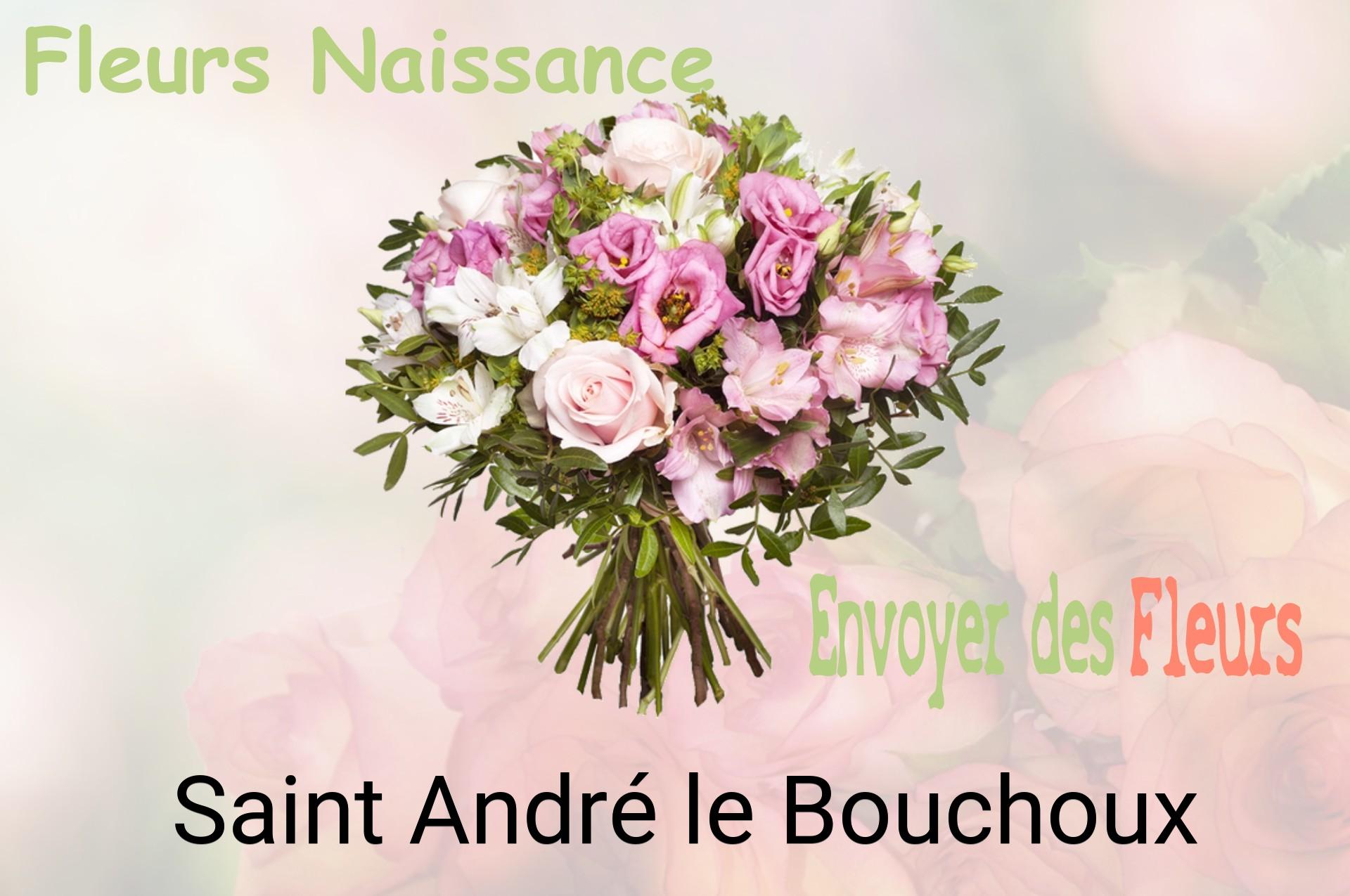 Bouquet de fleurs de naissance livré à Saint-André-le-Bouchoux
